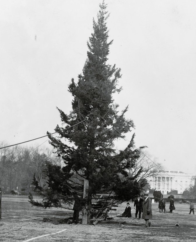 1923 Christmas Tree
